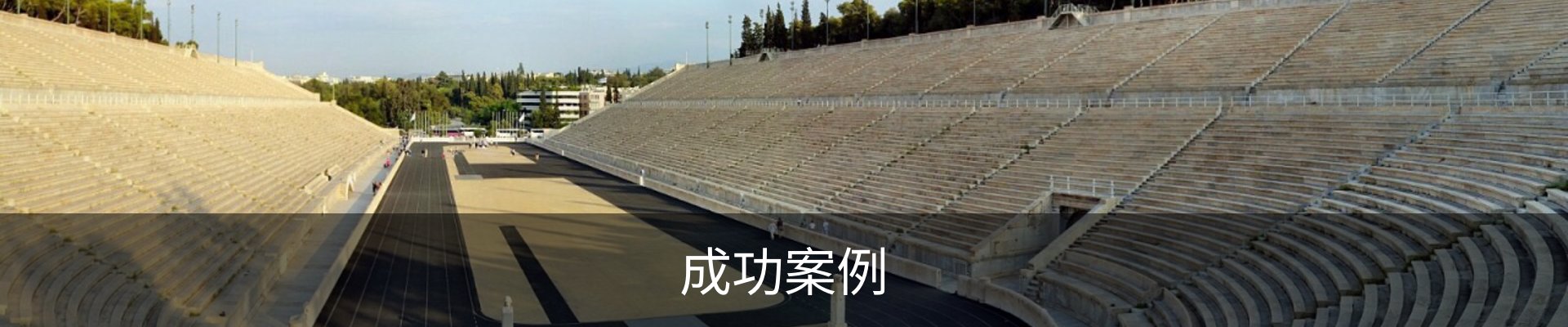 成功案例